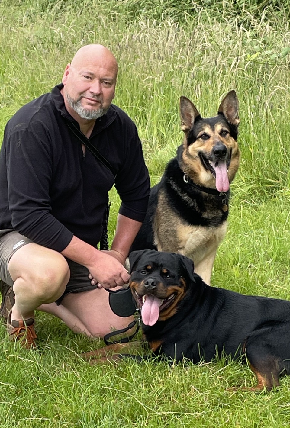 David, calm and in control, kneeling between a relaxed German Shepherd and Rottweiler in a meadow.